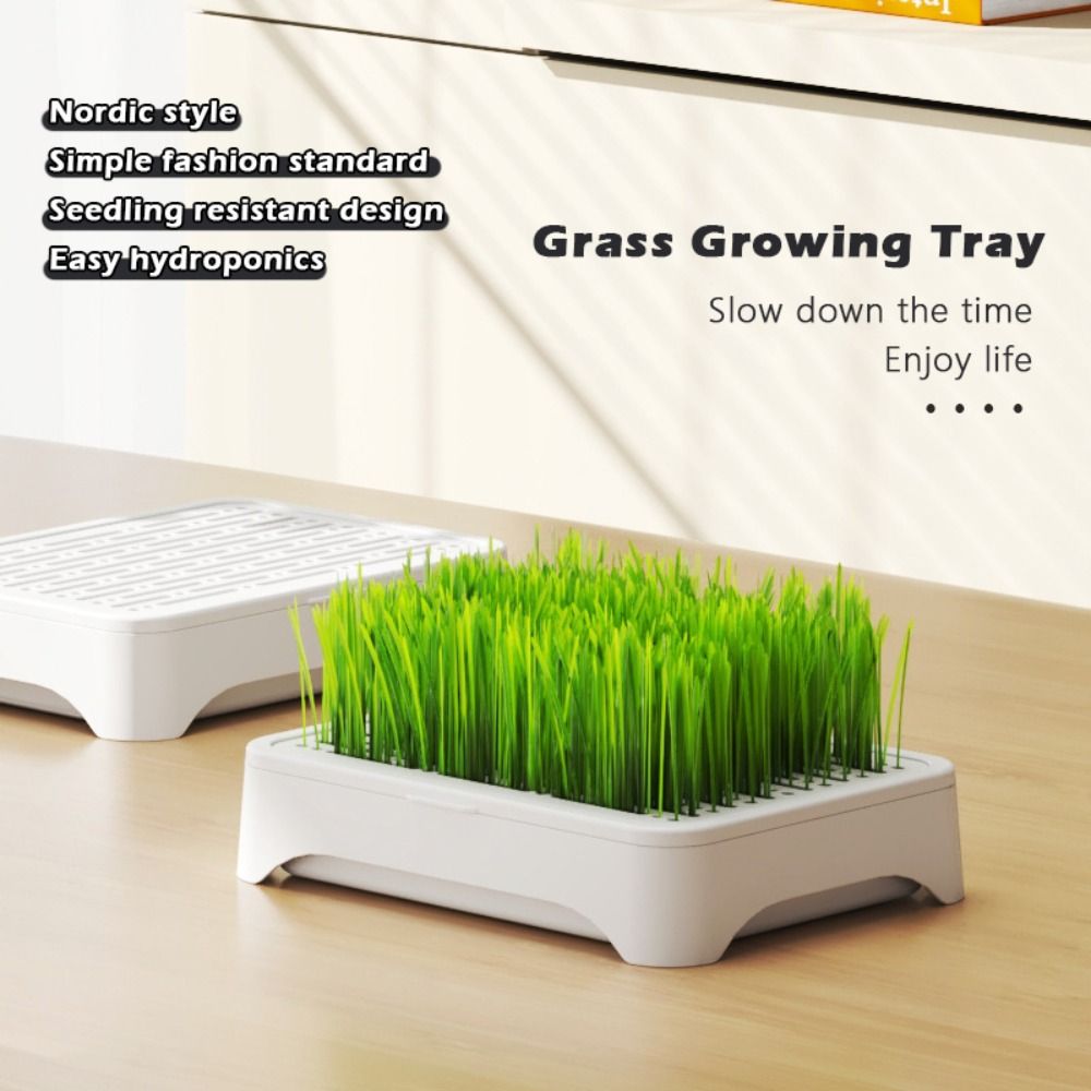 Grass Seed Spreader - Bandeja de Siembra Hidropónica de Plástico,