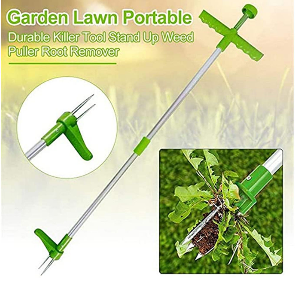 Grass Seed Spreader - Herramienta asesina duradera manual, extractor de