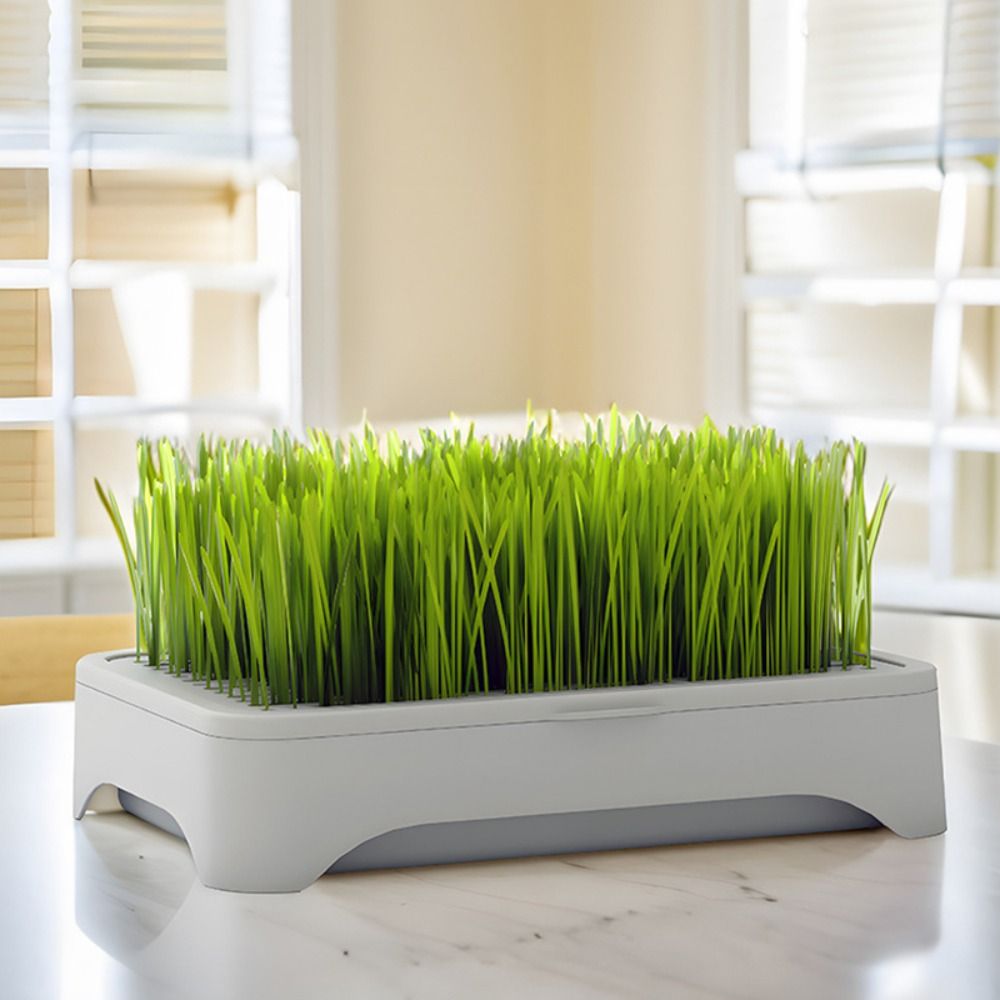 Bandeja de Siembra Hidropónica - Grass Seed Spreader reseña y precio