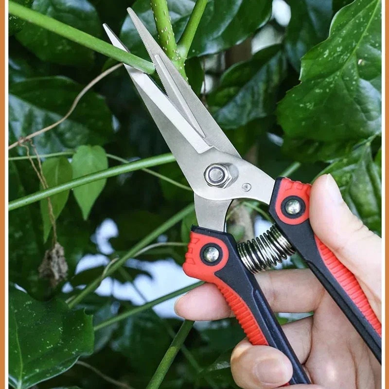 Tijeras de Podar NEWSHARK de A - Gardening Tools Pink reseña y precio