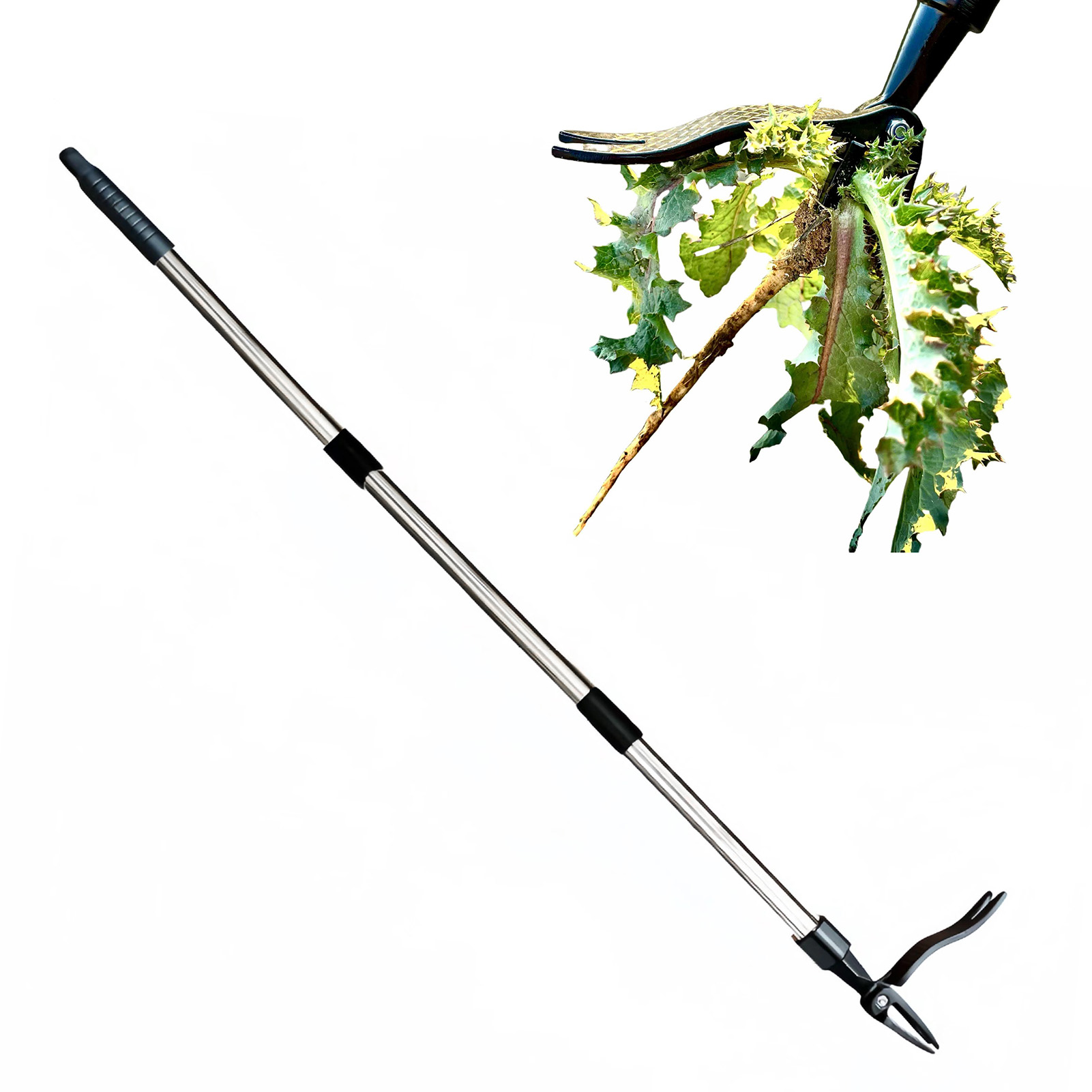 Extractor de malas hierbas de  - Grass Seed Spreader reseña y precio