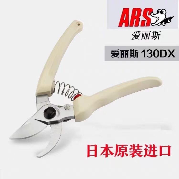 Tijeras de podar, herramientas - Gardening Tools In Japan reseña y precio