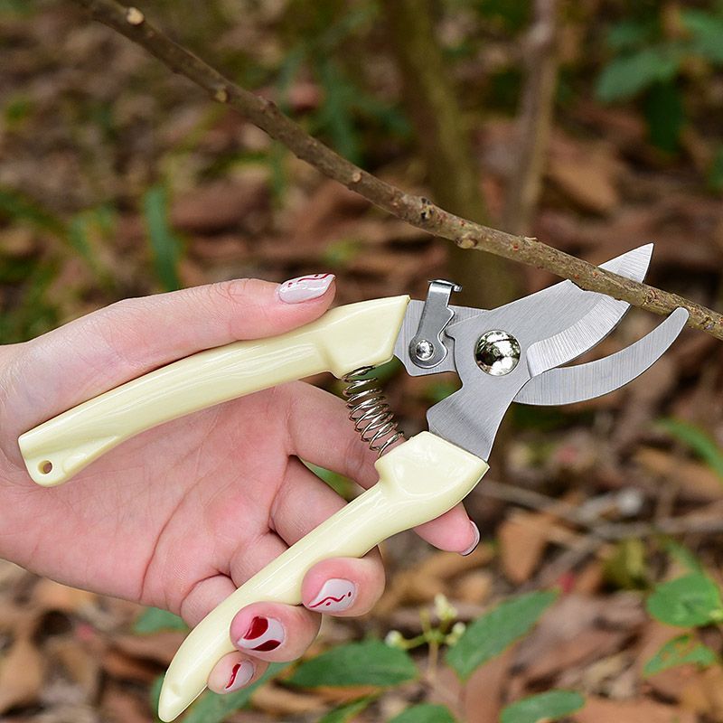 Tijeras de podar de jardín que - Gardening Tools Spade reseña y precio