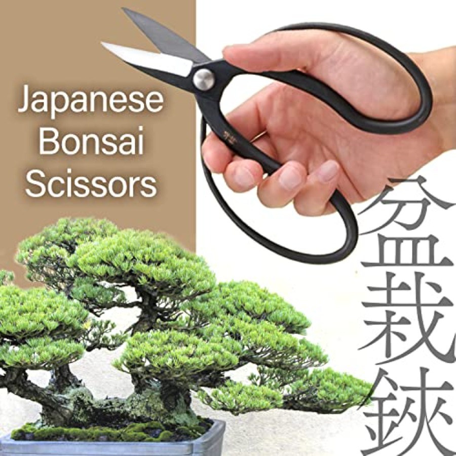 Tijeras Japonesas para Bonsái  - Gardening Tools In Japan reseña y precio