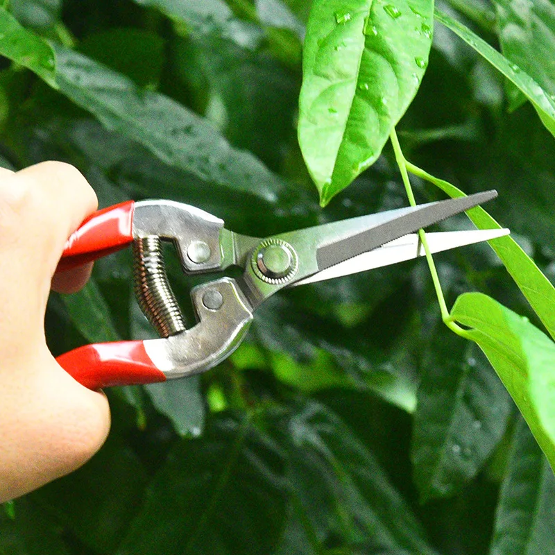 Tijeras de podar de acero inox - Gardening Tools Pink reseña y precio