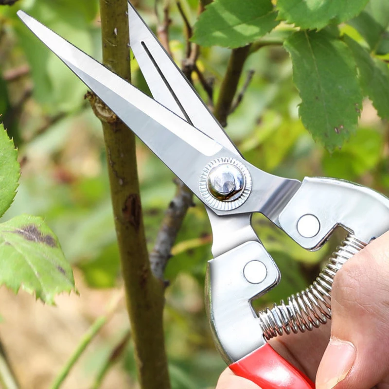 Tijeras de podar de acero inox - Gardening Tools Pink reseña y precio