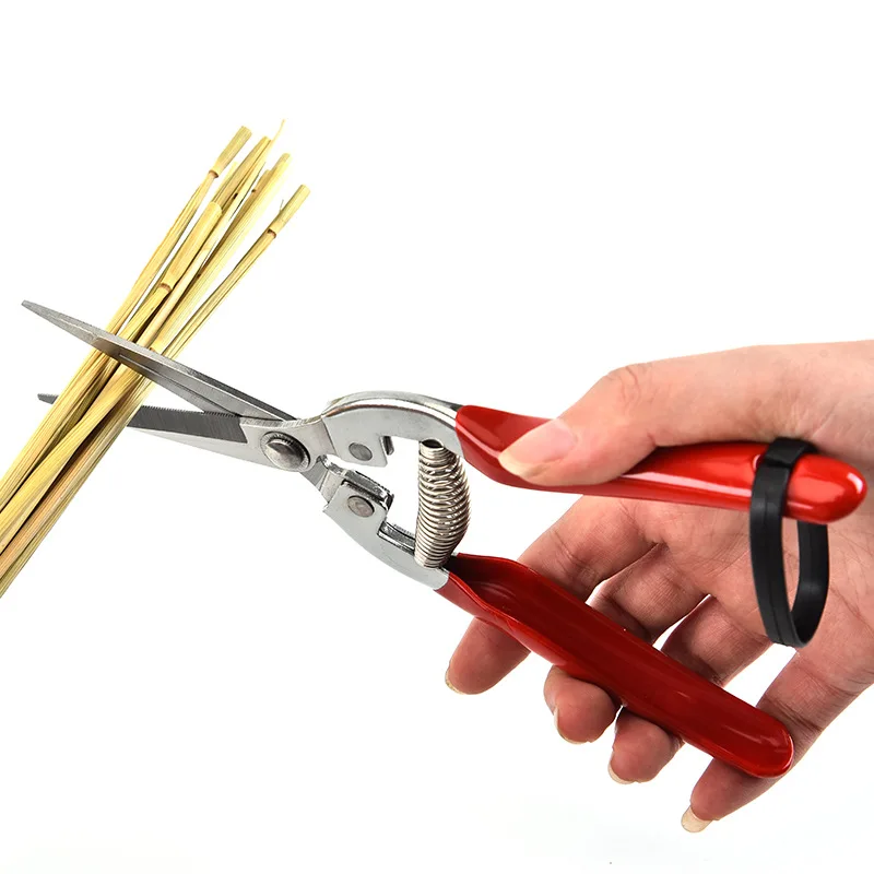 Tijeras de podar de acero inox - Gardening Tools Pink reseña y precio