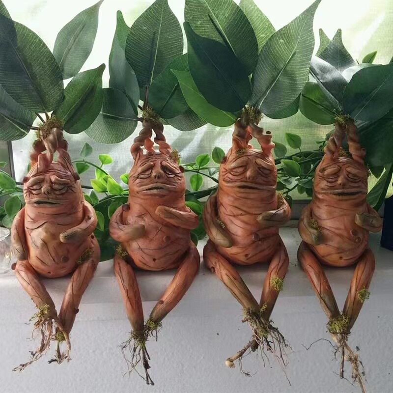 Adorno de Resina Mandragora pa - Gardening Tools Amazon reseña y precio