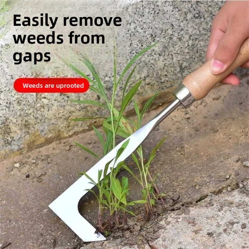 Herramienta de desmalezado en  - Grass Seed Spreader reseña y precio