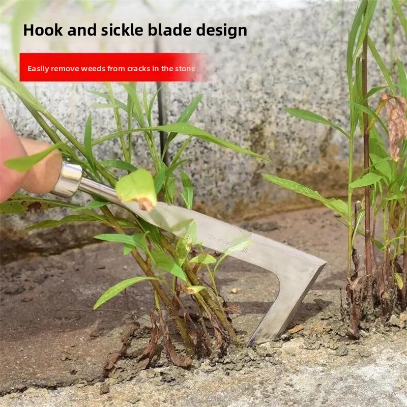 Herramienta de desmalezado en  - Grass Seed Spreader reseña y precio