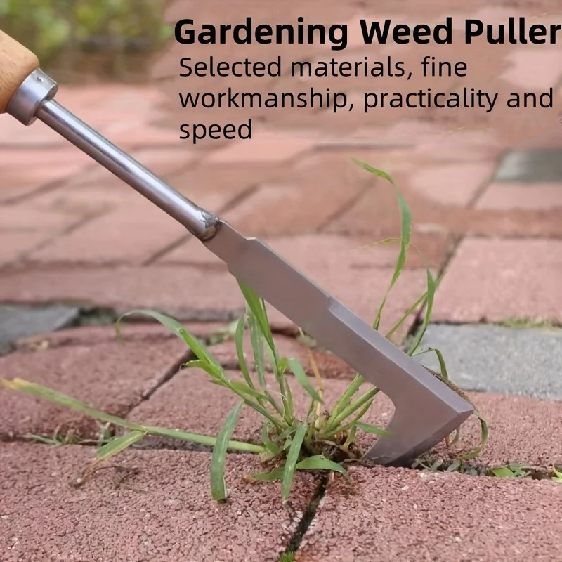 Herramienta de desmalezado en  - Grass Seed Spreader reseña y precio
